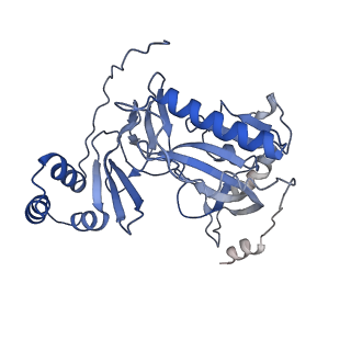 29290_8fma_D_v1-0
Nodavirus RNA replication proto-crown, detergent-solubliized C11 multimer
