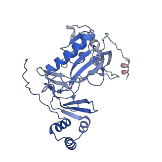 29290_8fma_E_v1-0
Nodavirus RNA replication proto-crown, detergent-solubliized C11 multimer