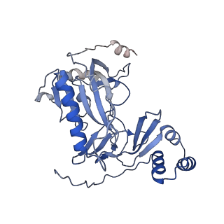 29290_8fma_F_v1-0
Nodavirus RNA replication proto-crown, detergent-solubliized C11 multimer