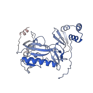 29290_8fma_G_v1-0
Nodavirus RNA replication proto-crown, detergent-solubliized C11 multimer