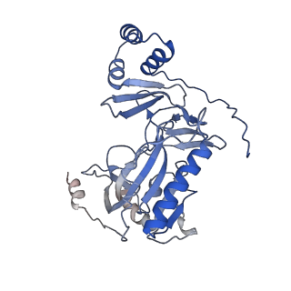 29290_8fma_H_v1-0
Nodavirus RNA replication proto-crown, detergent-solubliized C11 multimer