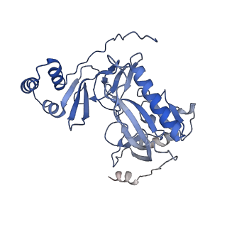 29290_8fma_I_v1-0
Nodavirus RNA replication proto-crown, detergent-solubliized C11 multimer