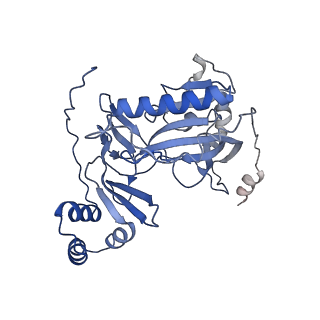 29290_8fma_J_v1-0
Nodavirus RNA replication proto-crown, detergent-solubliized C11 multimer
