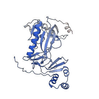 29290_8fma_K_v1-0
Nodavirus RNA replication proto-crown, detergent-solubliized C11 multimer