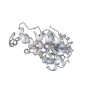 29290_8fma_L_v1-0
Nodavirus RNA replication proto-crown, detergent-solubliized C11 multimer