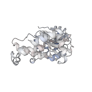 29290_8fma_M_v1-0
Nodavirus RNA replication proto-crown, detergent-solubliized C11 multimer