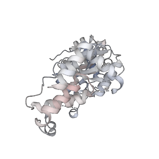 29290_8fma_N_v1-0
Nodavirus RNA replication proto-crown, detergent-solubliized C11 multimer