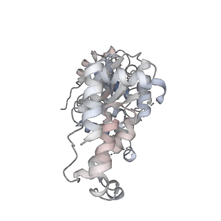 29290_8fma_O_v1-0
Nodavirus RNA replication proto-crown, detergent-solubliized C11 multimer