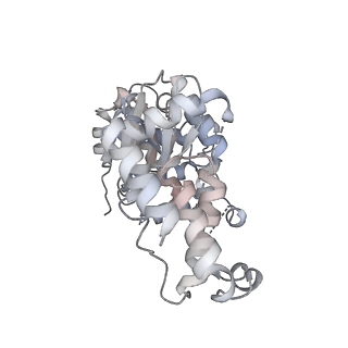 29290_8fma_P_v1-0
Nodavirus RNA replication proto-crown, detergent-solubliized C11 multimer