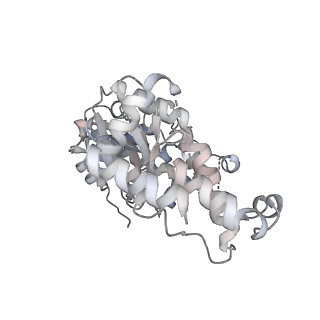 29290_8fma_Q_v1-0
Nodavirus RNA replication proto-crown, detergent-solubliized C11 multimer
