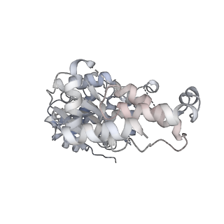 29290_8fma_R_v1-0
Nodavirus RNA replication proto-crown, detergent-solubliized C11 multimer