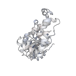 29290_8fma_T_v1-0
Nodavirus RNA replication proto-crown, detergent-solubliized C11 multimer