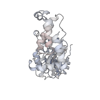 29290_8fma_U_v1-0
Nodavirus RNA replication proto-crown, detergent-solubliized C11 multimer