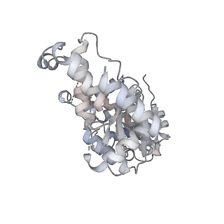 29290_8fma_V_v1-0
Nodavirus RNA replication proto-crown, detergent-solubliized C11 multimer