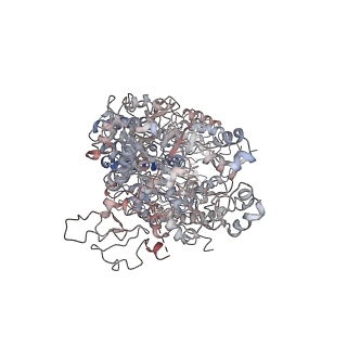29296_8fml_A_v1-0
Cryo-EM structure of NLR family apoptosis inhibitory protein 5 (NAIP5) in complex with a full-length flagellin (FliC) ligand