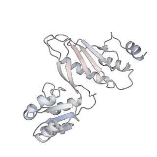 29298_8fmw_AC_v1-0
The structure of a hibernating ribosome in the Lyme disease pathogen