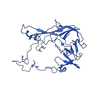 29298_8fmw_AD_v1-0
The structure of a hibernating ribosome in the Lyme disease pathogen