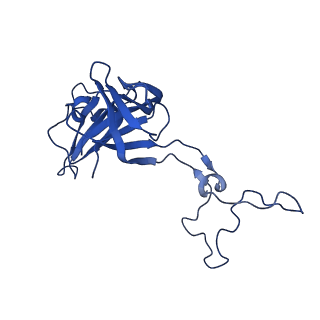 29298_8fmw_AE_v1-0
The structure of a hibernating ribosome in the Lyme disease pathogen