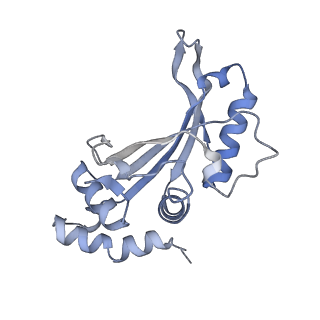 29298_8fmw_AG_v1-0
The structure of a hibernating ribosome in the Lyme disease pathogen
