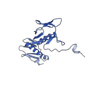 29298_8fmw_AH_v1-0
The structure of a hibernating ribosome in the Lyme disease pathogen