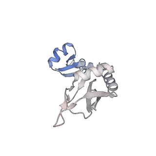 29298_8fmw_AI_v1-0
The structure of a hibernating ribosome in the Lyme disease pathogen