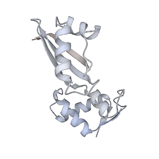 29298_8fmw_AK_v1-0
The structure of a hibernating ribosome in the Lyme disease pathogen