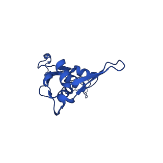 29298_8fmw_AL_v1-0
The structure of a hibernating ribosome in the Lyme disease pathogen