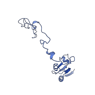 29298_8fmw_AN_v1-0
The structure of a hibernating ribosome in the Lyme disease pathogen