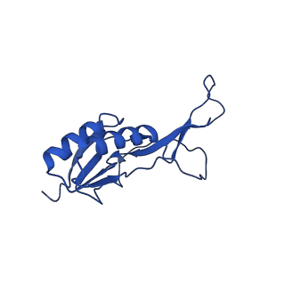 29298_8fmw_AO_v1-0
The structure of a hibernating ribosome in the Lyme disease pathogen
