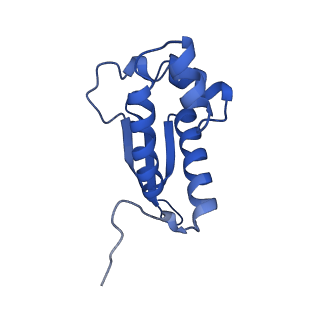 29298_8fmw_AP_v1-0
The structure of a hibernating ribosome in the Lyme disease pathogen