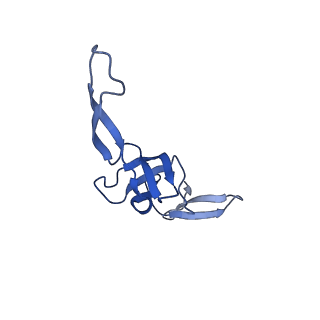 29298_8fmw_AW_v1-0
The structure of a hibernating ribosome in the Lyme disease pathogen