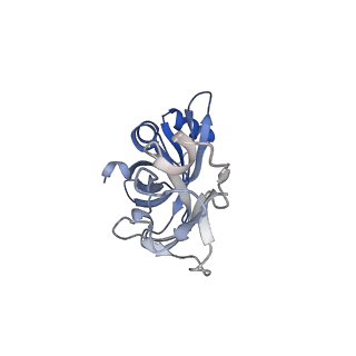 29298_8fmw_AX_v1-0
The structure of a hibernating ribosome in the Lyme disease pathogen