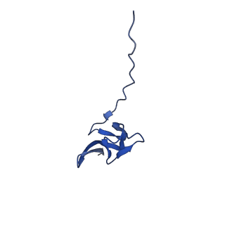 29298_8fmw_AY_v1-0
The structure of a hibernating ribosome in the Lyme disease pathogen