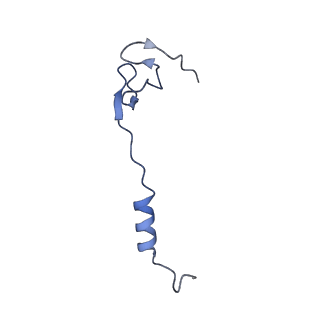 29298_8fmw_Ad_v1-0
The structure of a hibernating ribosome in the Lyme disease pathogen