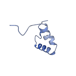 29298_8fmw_Af_v1-0
The structure of a hibernating ribosome in the Lyme disease pathogen