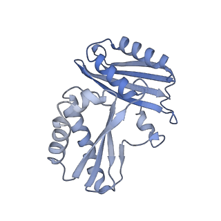 29298_8fmw_C_v1-0
The structure of a hibernating ribosome in the Lyme disease pathogen