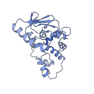 29298_8fmw_D_v1-0
The structure of a hibernating ribosome in the Lyme disease pathogen