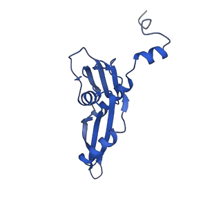 29298_8fmw_E_v1-0
The structure of a hibernating ribosome in the Lyme disease pathogen