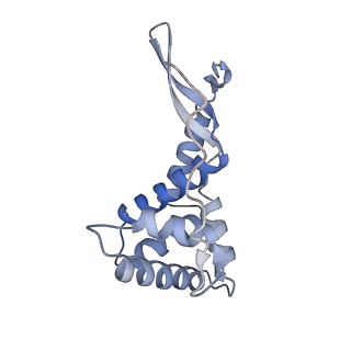 29298_8fmw_G_v1-0
The structure of a hibernating ribosome in the Lyme disease pathogen
