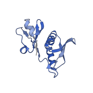 29298_8fmw_H_v1-0
The structure of a hibernating ribosome in the Lyme disease pathogen