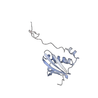 29298_8fmw_I_v1-0
The structure of a hibernating ribosome in the Lyme disease pathogen