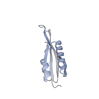 29298_8fmw_J_v1-0
The structure of a hibernating ribosome in the Lyme disease pathogen