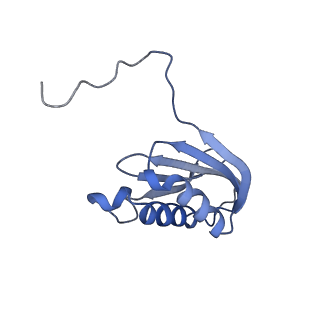 29298_8fmw_K_v1-0
The structure of a hibernating ribosome in the Lyme disease pathogen