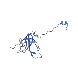 29298_8fmw_L_v1-0
The structure of a hibernating ribosome in the Lyme disease pathogen