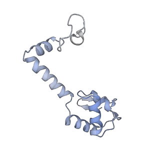 29298_8fmw_M_v1-0
The structure of a hibernating ribosome in the Lyme disease pathogen