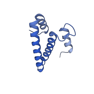 29298_8fmw_O_v1-0
The structure of a hibernating ribosome in the Lyme disease pathogen