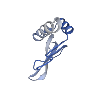 29298_8fmw_P_v1-0
The structure of a hibernating ribosome in the Lyme disease pathogen