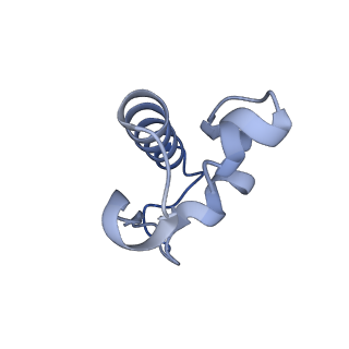 29298_8fmw_R_v1-0
The structure of a hibernating ribosome in the Lyme disease pathogen