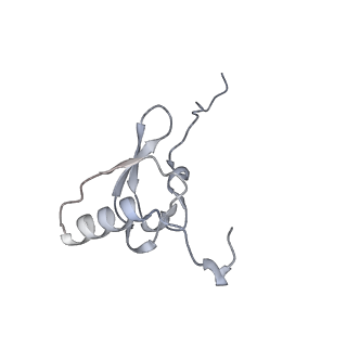 29298_8fmw_S_v1-0
The structure of a hibernating ribosome in the Lyme disease pathogen