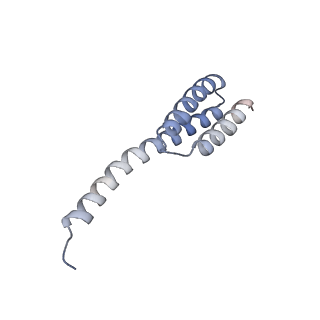 29298_8fmw_T_v1-0
The structure of a hibernating ribosome in the Lyme disease pathogen